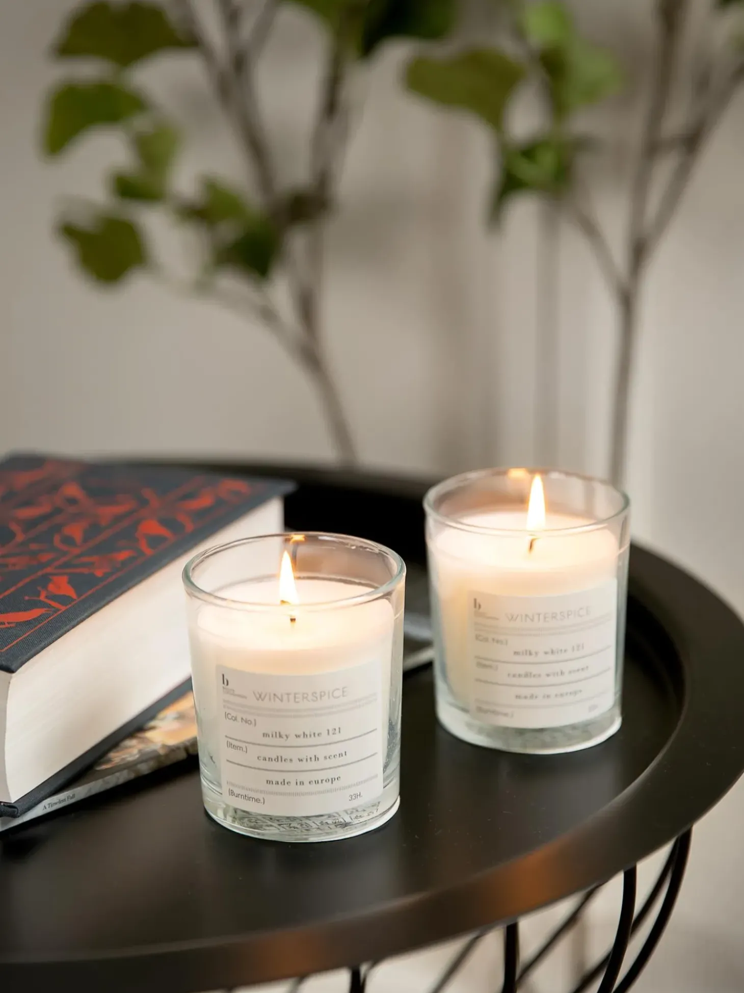 Candela Profumata Winter (Cannella)