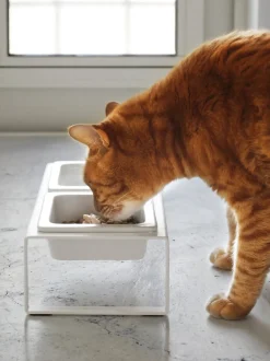 Ciotole Per Animali Con Supporto Tower