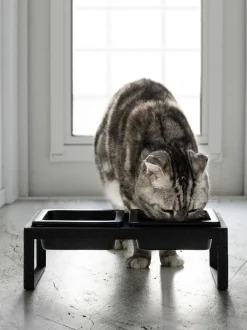 Ciotole Per Animali Con Supporto Tower