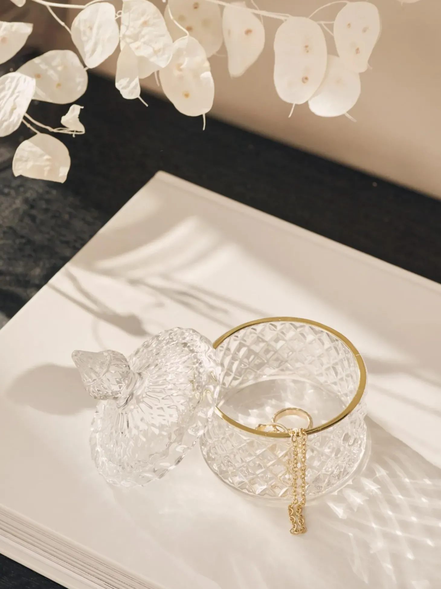 Contenitore Con Coperchio Freser