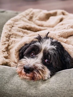 Copertina Per Animali Cozy, Varie Misure