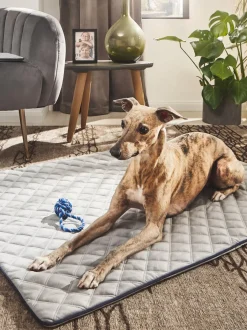 Copertina Per Animali Oxford, Varie Misure