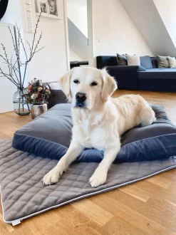 Copertina Per Animali Oxford, Varie Misure