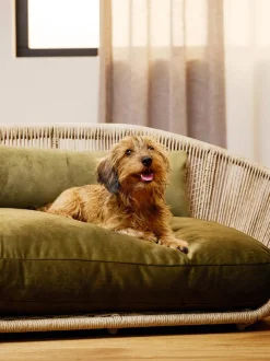 Cuccia Da Interno-Esterno Vogue