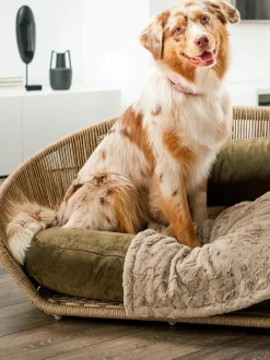 Cuccia Da Interno-Esterno Vogue