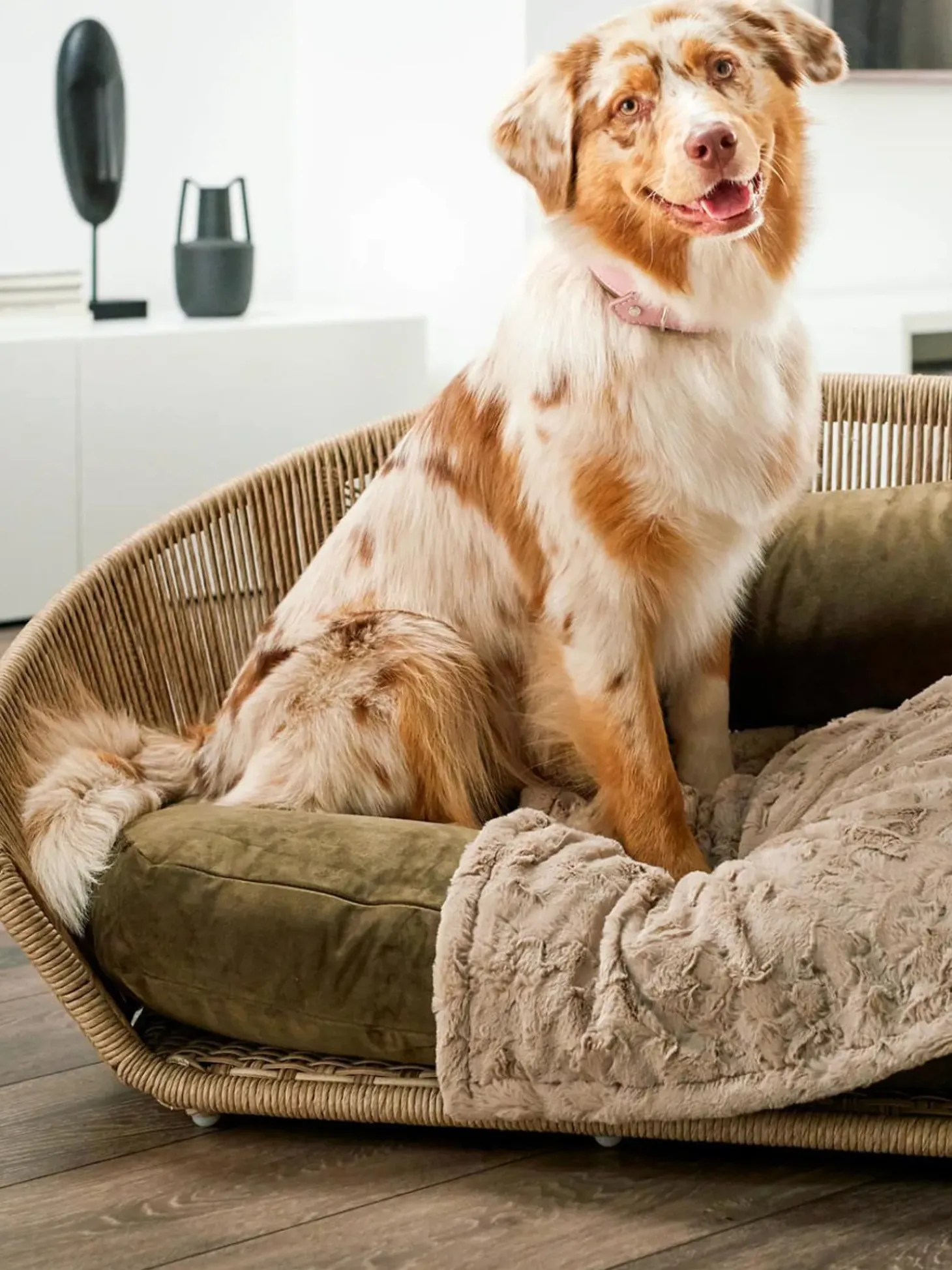 Cuccia Da Interno-Esterno Vogue