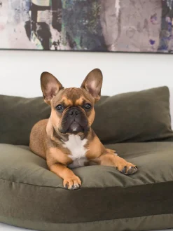 Cuccia Da Interno-Esterno Prado