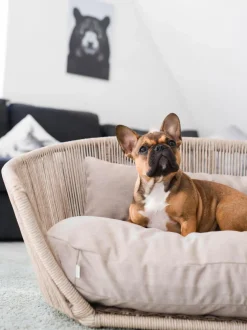 Cuccia Da Interno-Esterno Vogue