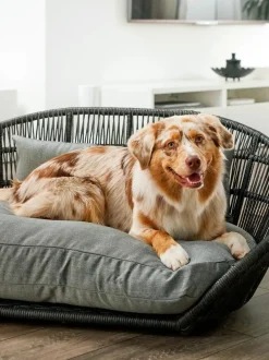 Cuccia Da Interno-Esterno Prado