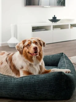 Cuccia In Velluto A Coste Nova, Varie Misure