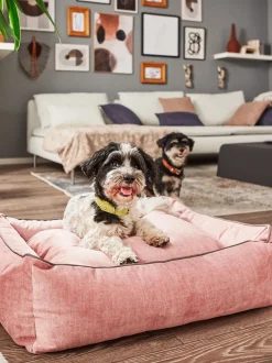 Cuccia In Velluto Glam, Varie Misure