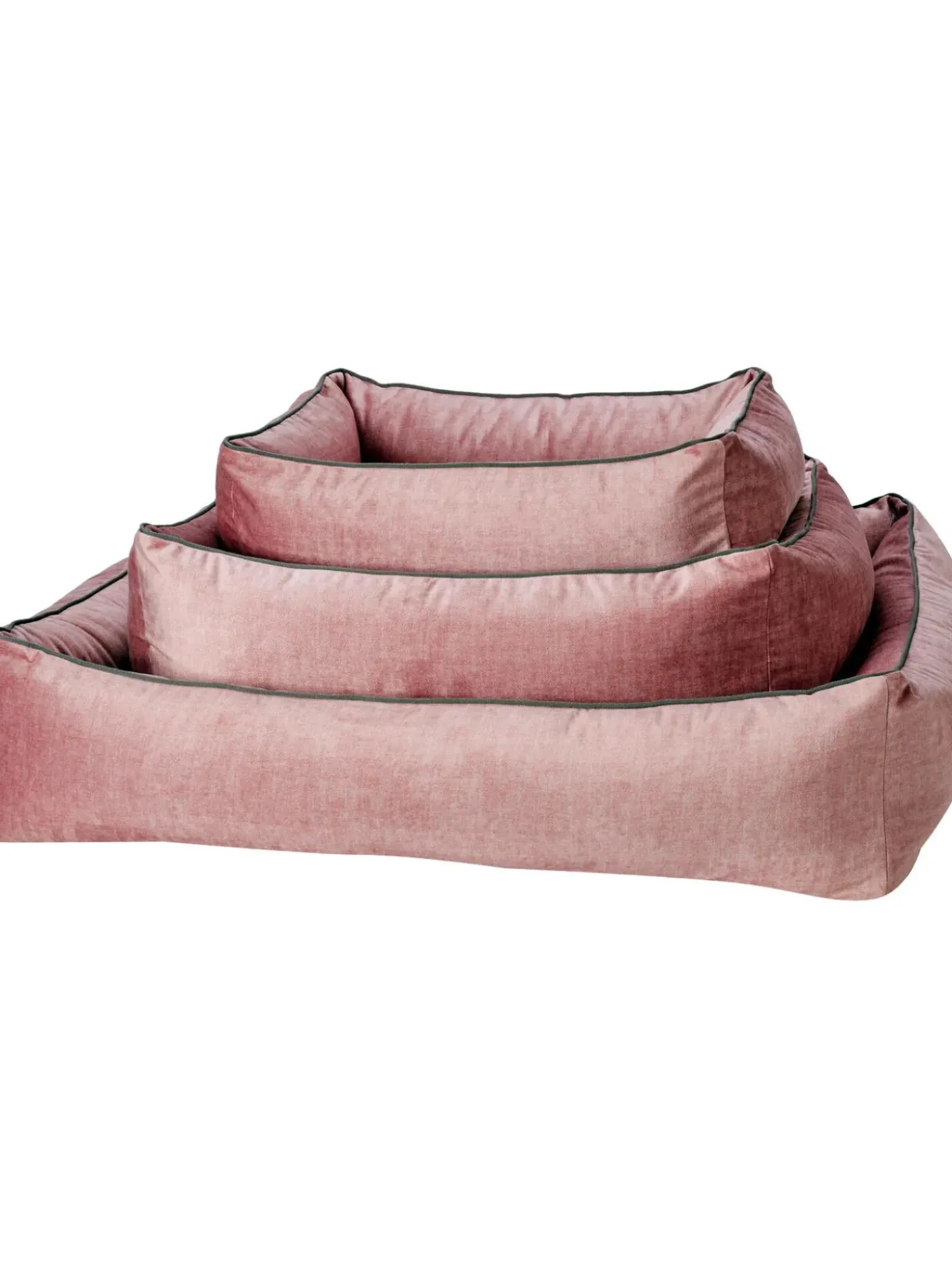 Cuccia In Velluto Glam, Varie Misure