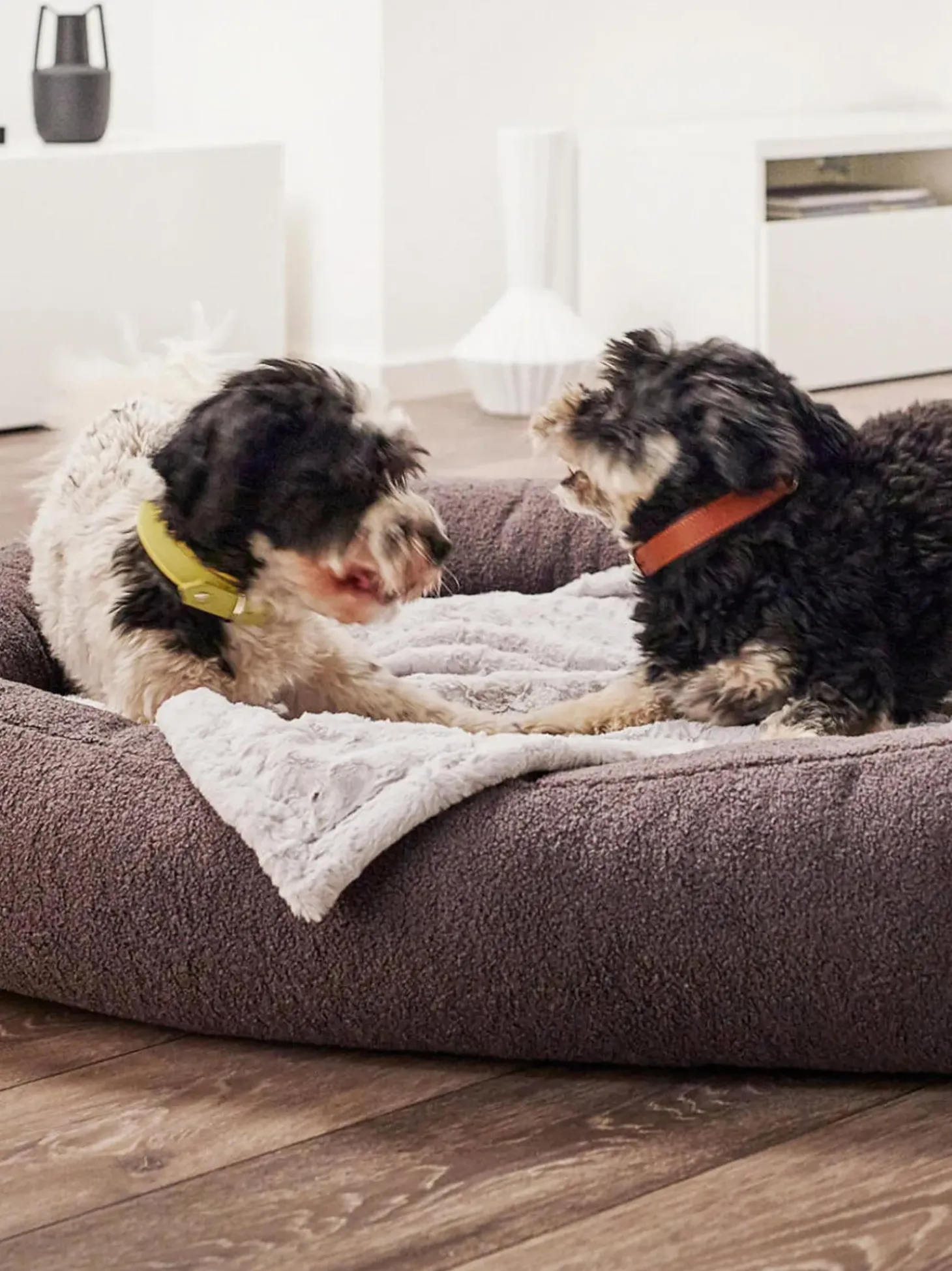 Cuccia Per Cani In Tessuto Boucle Teddy, In Diverse Misure