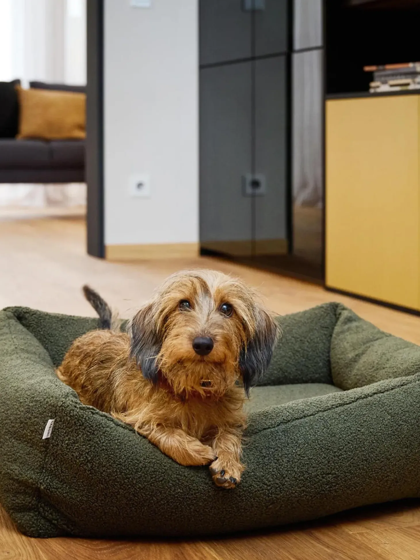 Cuccia Per Cani In Tessuto Boucle Teddy, In Diverse Misure