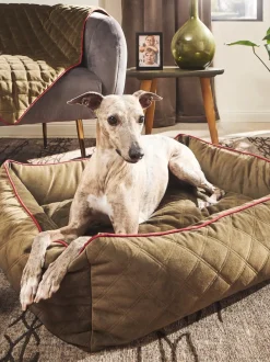 Cuccia Per Cani In Velluto Oxford, Varie Misure