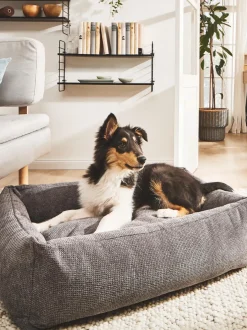 Cuccia Per Cani Tudor, Varie Misure