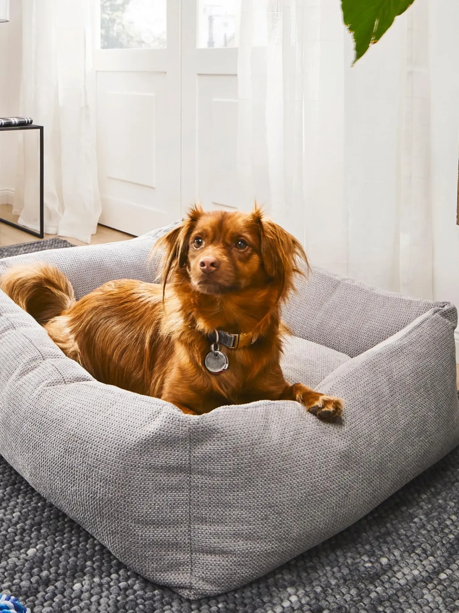 Cuccia Per Cani Tudor, Varie Misure