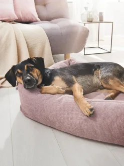 Cuccia Per Cani Tudor, Varie Misure