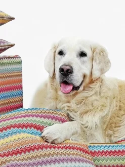 Cuccia Per Cani Zik Zak, In Diverse Misure