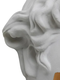 Decorazione Da Parete Fatta A Mano Con Funzione Ciotola Apollo