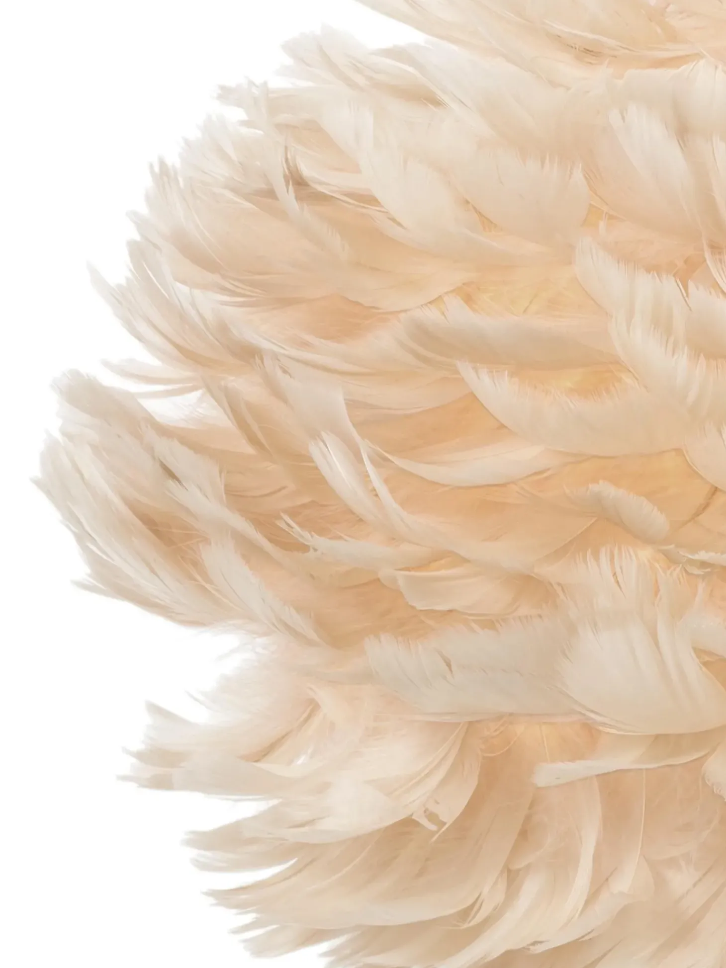 Lampada A Sospensione In Piume Eos