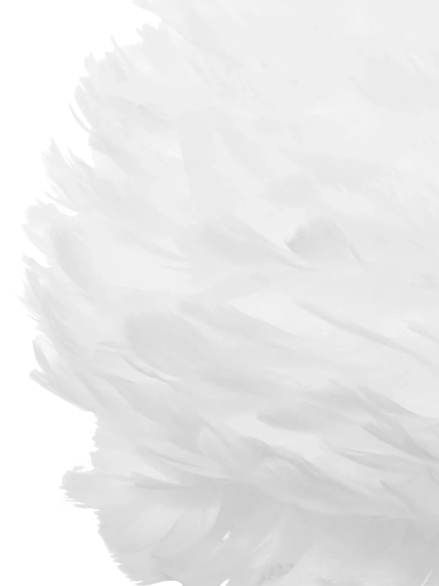 Lampada A Sospensione In Piume Eos