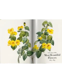 Libro Illustrato Book Of Flowers