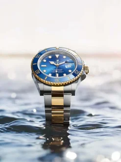 Libro Illustrato Rolex, The Watch Book