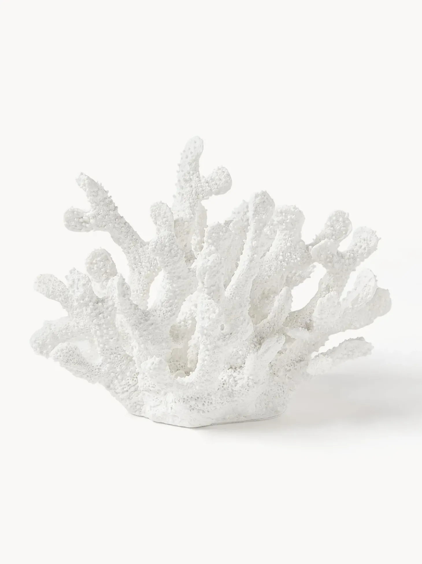 Oggetto Decorativo Di Design Coral