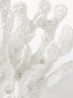 Oggetto Decorativo Di Design Coral