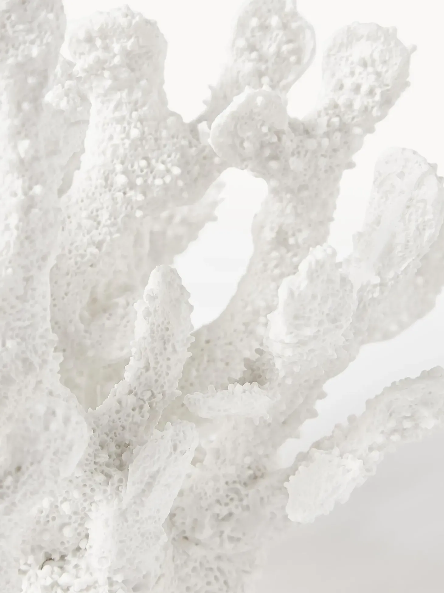 Oggetto Decorativo Di Design Coral