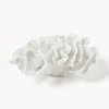 Oggetto Decorativo Di Design Coral