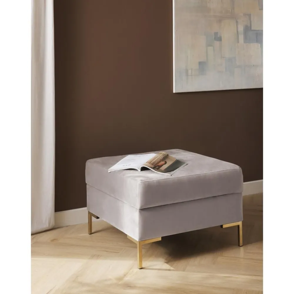 Poggiapiedi In Velluto Con Contenitore Luna*Westwing Collection Best