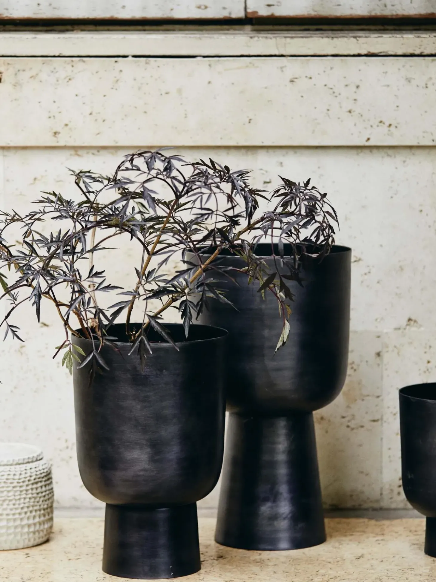 Portavaso Grande Galoa