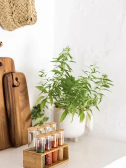 Portavaso In Ceramica Ivory