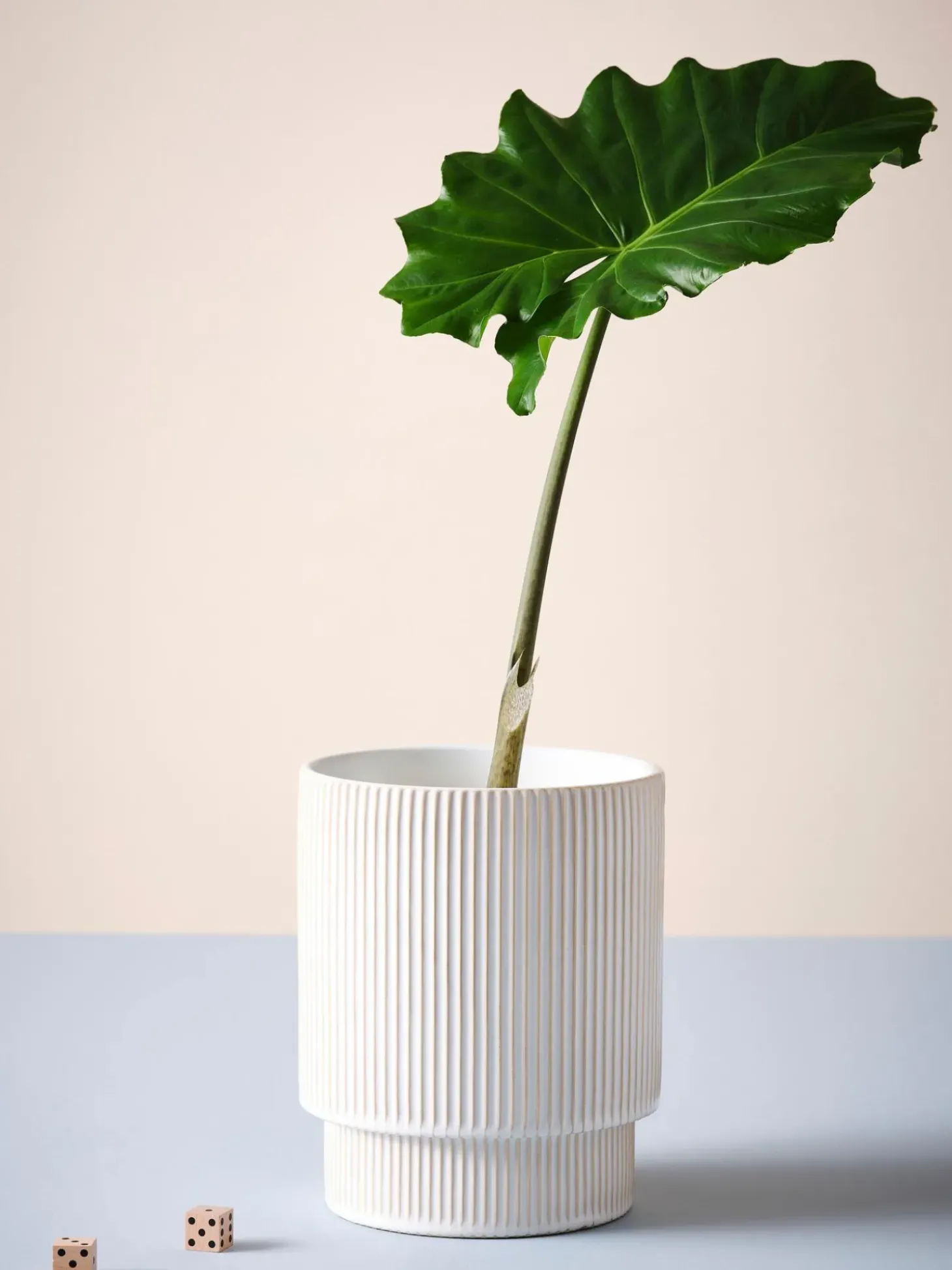 Portavaso In Ceramica Ruby