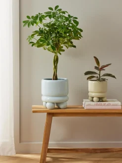 Portavaso Piccolo Bryn