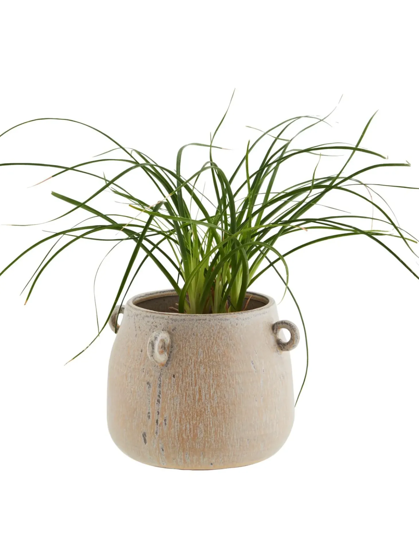 Portavaso Xs In Gres Effetto Vintage Rings