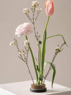 Riccio Per Fiori Fiore, O 8 Cm