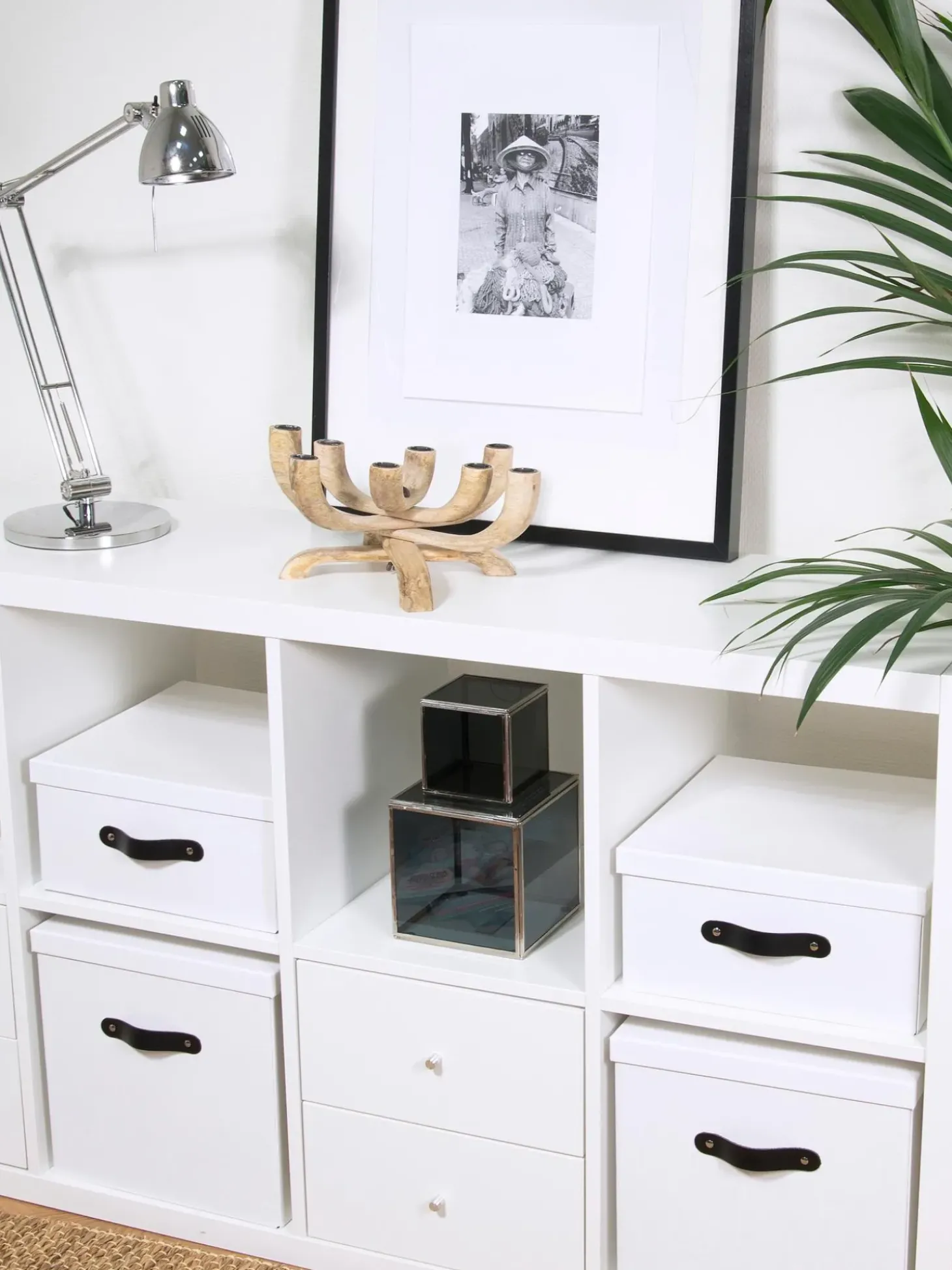 Scatola Con Coperchio Texas