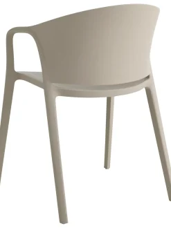 Sedia Con Braccioli In Plastica Monti 2 Pz