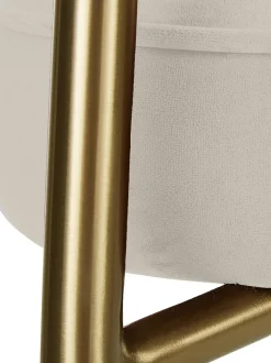 Sedia Imbottita In Velluto Viggo