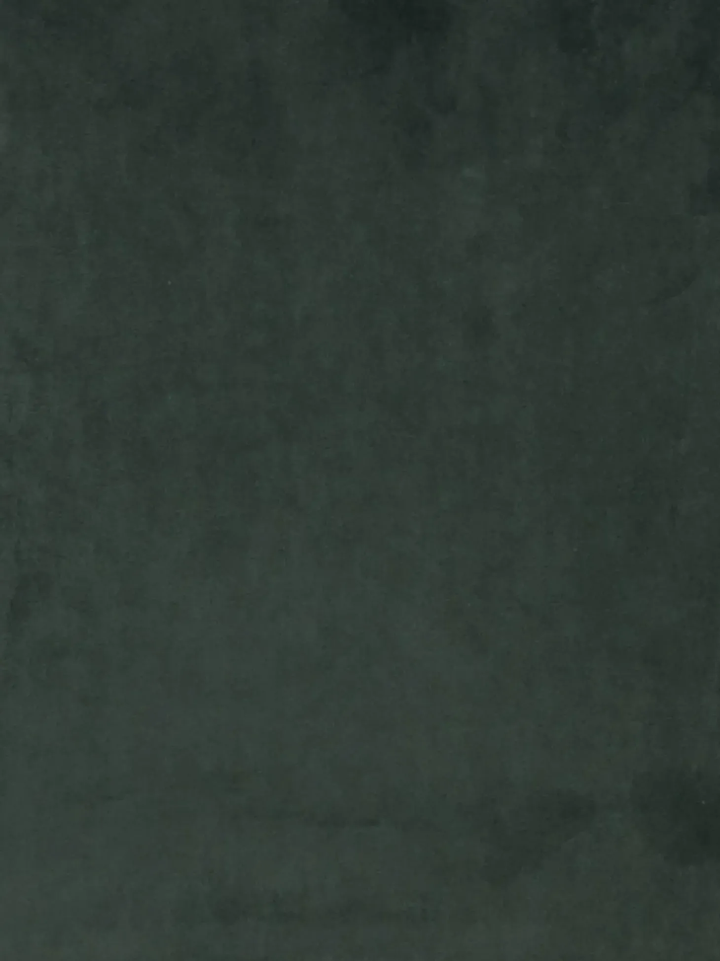 Sedia Imbottita In Velluto Sierra 2 Pz