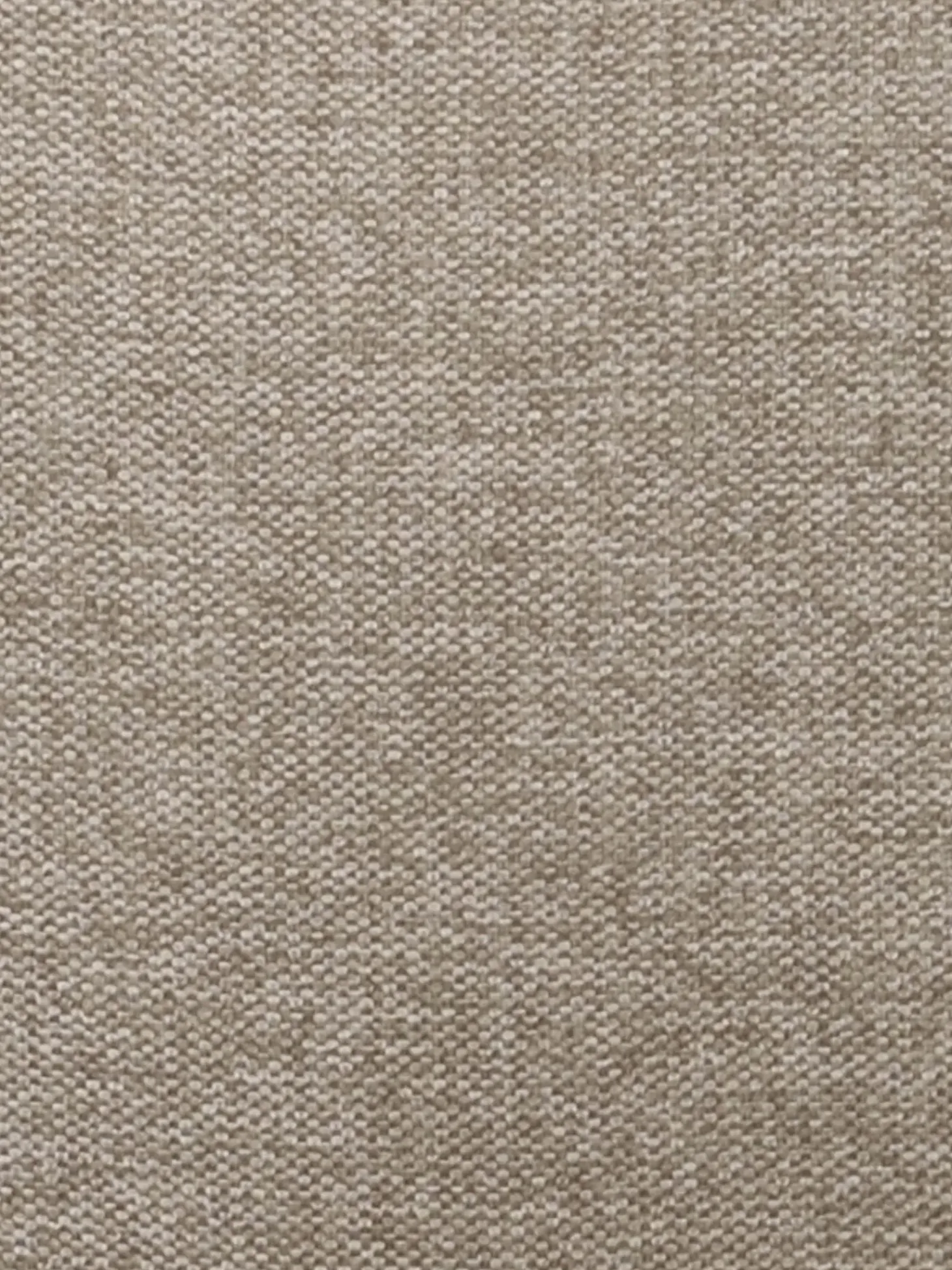 Sedia Imbottita Sierra 2 Pz