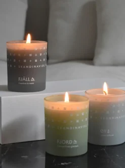 Set 3 Candele Profumate Explore