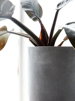 Set 3 Portavasi In Cemento Gard