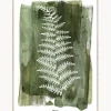 Stampa Digitale Incorniciata White Fern