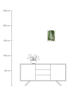 Stampa Digitale Incorniciata White Fern