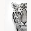 Stampa Digitale Incorniciata White Tiger
