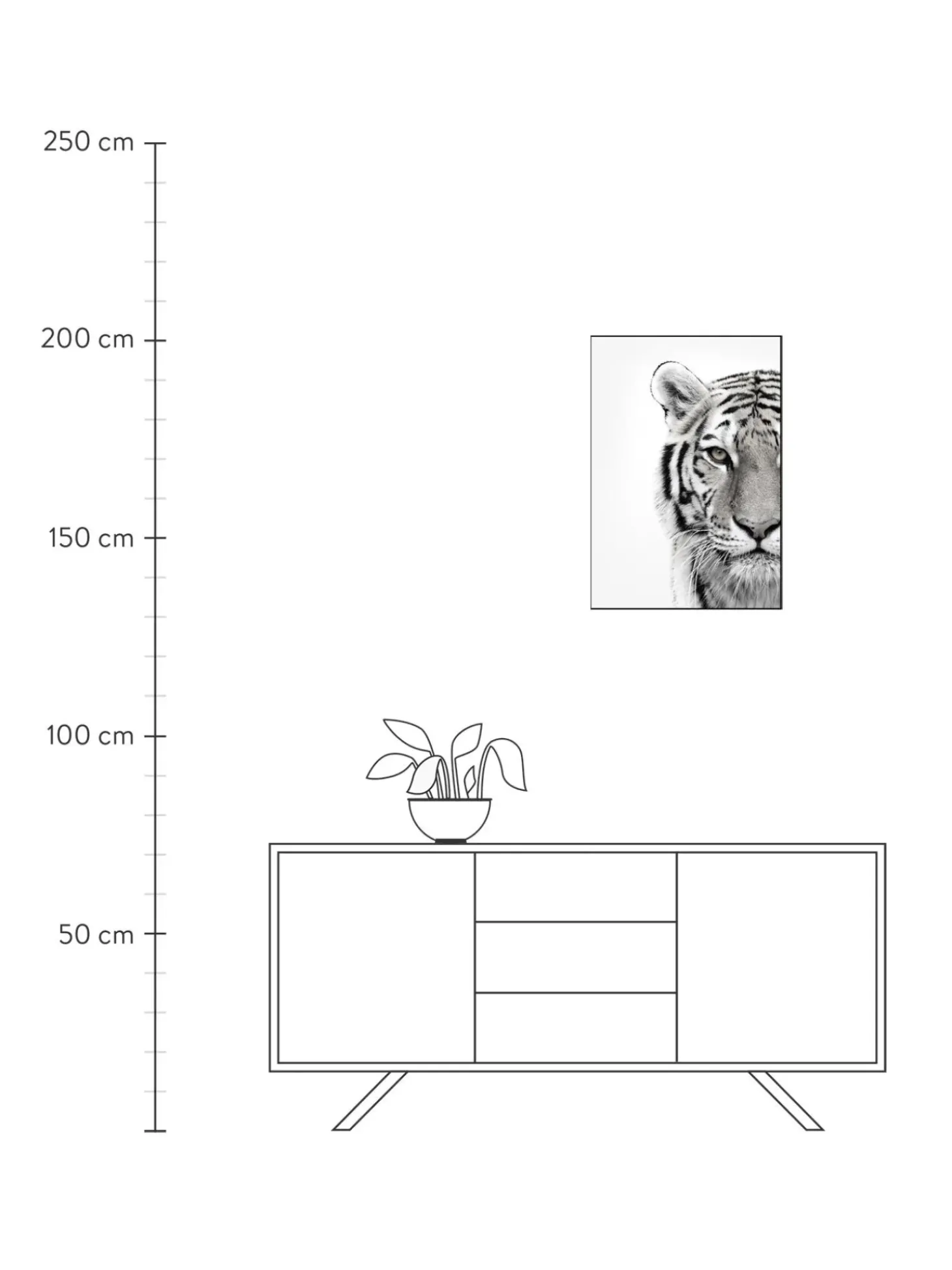 Stampa Digitale Incorniciata White Tiger